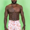 Painted Clams | Mens Boardies