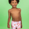 Painted Clams | Mini Euro Shorts