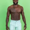 Spearmint | Mens Boardies
