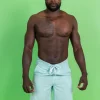 Spearmint | Mens Swim Trunks